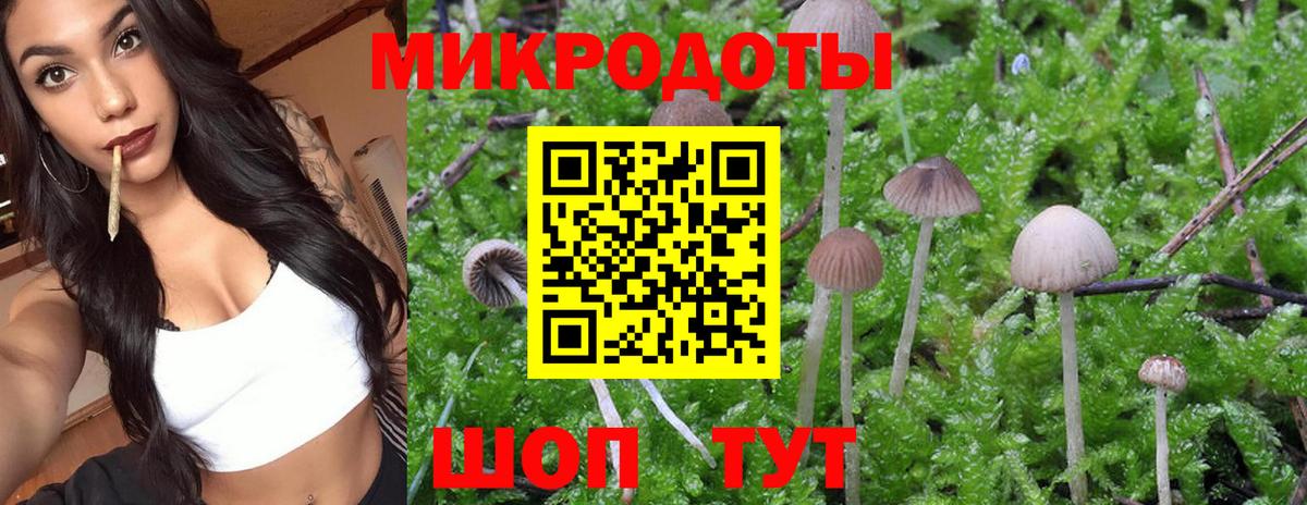 Свободный  Галлюциногенные грибы GOLDEN TEACHER  Вход с VPN 